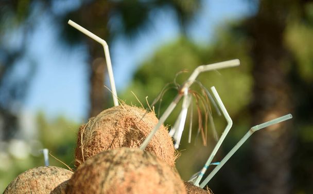 Ovocná svačinka na pláži. Zralé kokosy zdobí koktejlové trubičky. Koncept zdravé výživy a rekreace - Fotografie, Obrázek