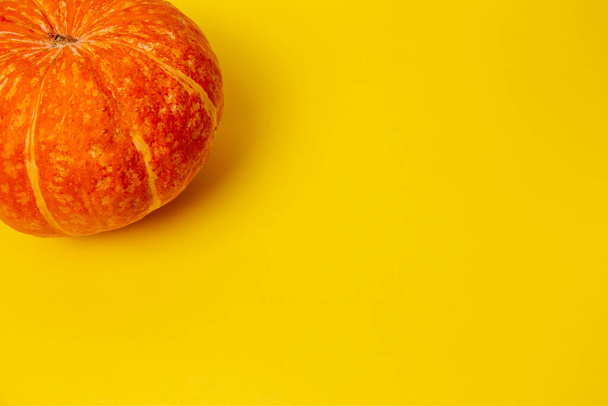 Belle zucche rotonde su uno sfondo arancione brillante - Foto, immagini