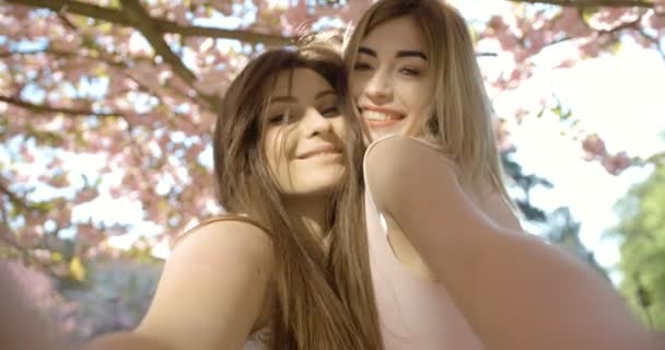 Porträt der charmanten blonden und brünetten Freundinnen mit hübschem Lächeln, die sich umarmen und Selfies im blühenden Sakura-Garten machen. 4k Filmmaterial. - Filmmaterial, Video
