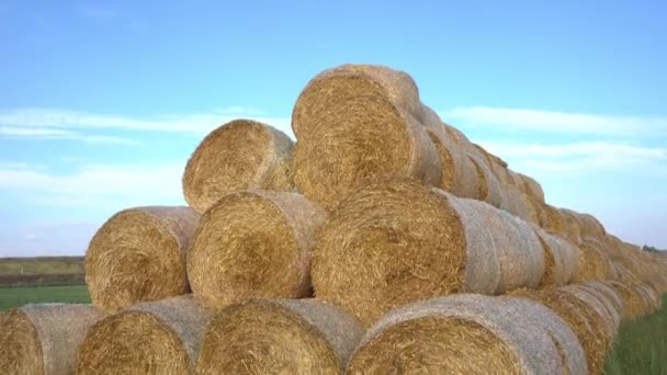 Balle di paglia impilate in una piramide. Terreno raccolto con balle, raccolta del grano per la produzione di pane. Balle di paglia su terreni agricoli con un cielo blu nuvoloso. Fotocamera dall'alto verso il basso - Filmati, video