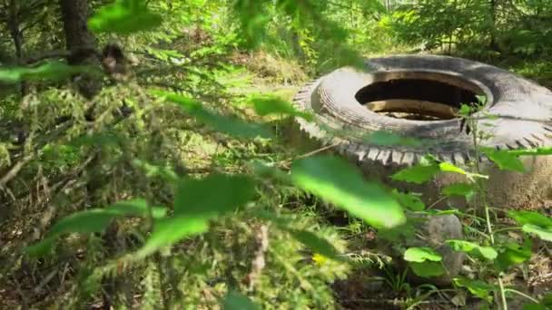 Stare opony samochodowe leżące w lesie, zanieczyszczenia, śmieci w lesie, zbieranie śmieci w lesie - Materiał filmowy, wideo