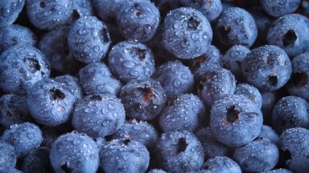 Fresh blueberry with water droplets - Footage, Video
