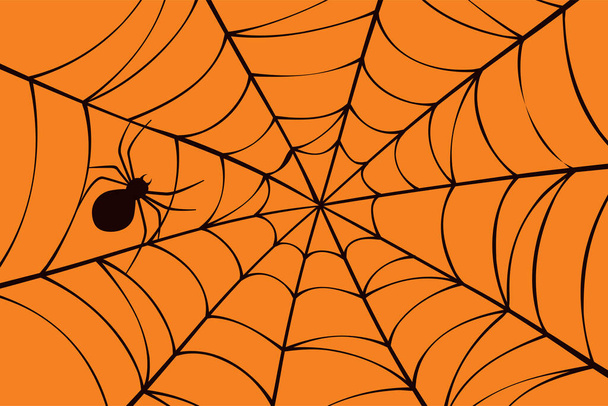 Halloween background with spider and cobweb. - Vecteur, image