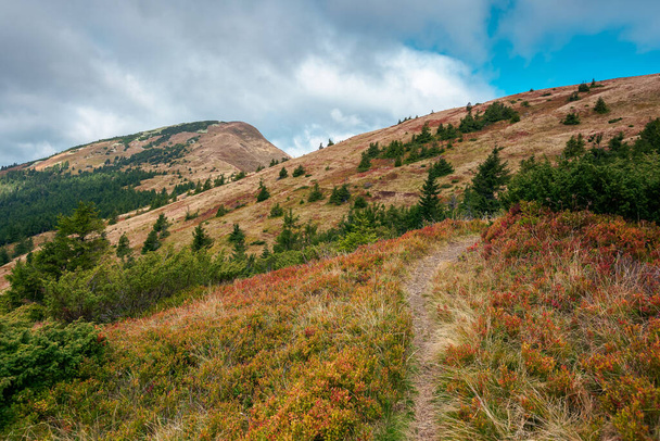 Weg zum Gipfel in fleckigem Licht. schöne Herbstlandschaft in den Bergen mit farbenfrohen Wiesen am Hang. Wolken am blauen Himmel über dem Kamm - Foto, Bild