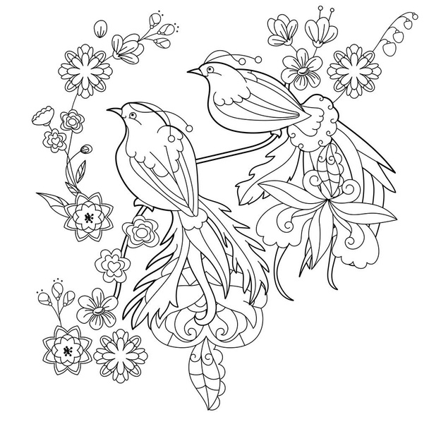 Contour linear illustration for coloring book with paradise bird. Beautiful tropical exotic bird,  anti stress picture. Line art design for adult or kids  in zen-tangle style and coloring page. - Вектор,изображение
