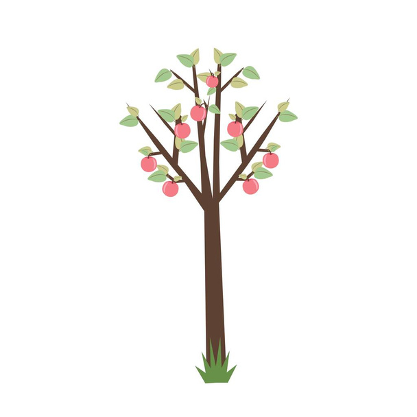  Яблоня с яблоками, векторный объект в плоском стиле - Вектор,изображение