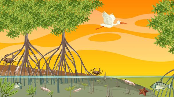 Animales viven en el bosque de manglares al atardecer escena ilustración - Vector, imagen