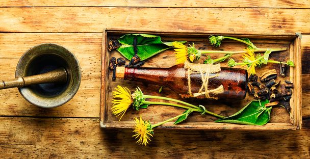 Healing tincture or mixture of elecampane roots. Elecampane in herbal medicine. Bottle with an elixir made from wild medicinal herbs. - Photo, Image