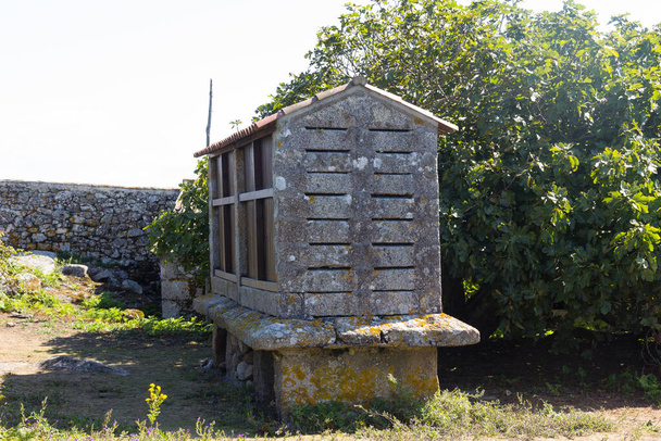 Gebouw opgetrokken uit de grond om graan op te slaan en te voorkomen dat vochtigheid en kleine knaagdieren de productie bederven. Dit type gebouw werd gevonden in Galicië, Spanje. - Foto, afbeelding