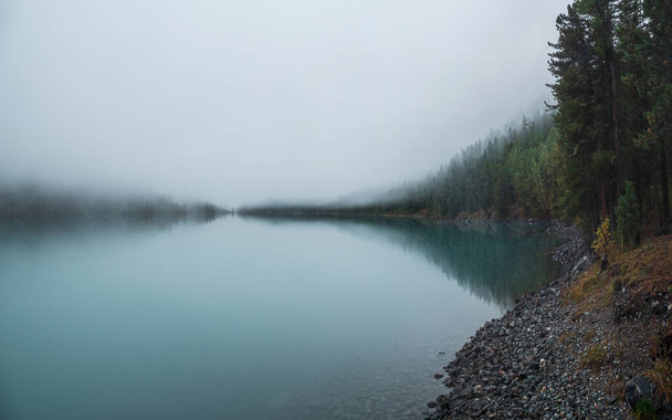 М'який фокус. Містичний ранковий осінній пейзаж з густим туманом над озером. Відображення хвойних дерев у блискучій спокійній воді. Альпійський спокійний пейзаж рано вранці. Примарні атмосферні пейзажі
. - Фото, зображення