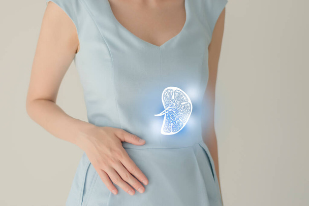 Unrecognizable female patient in blue clothes, highlighted handrawn spleen in hands. Human spleen issues concept. - Fotoğraf, Görsel