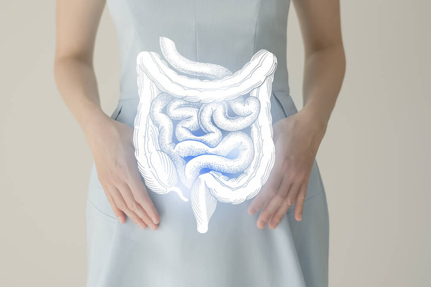 Unrecognizable female patient in blue clothes, highlighted handrawn intestine in hands. Human digestive system issues concept. - Foto, imagen