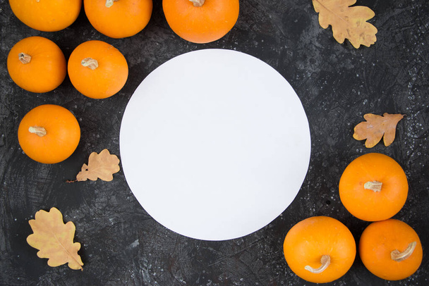 Festive autumn decor of pumpkins on a black stone background. Thanksgiving or Halloween day concept. Flat lay autumn composition with copy space - Φωτογραφία, εικόνα