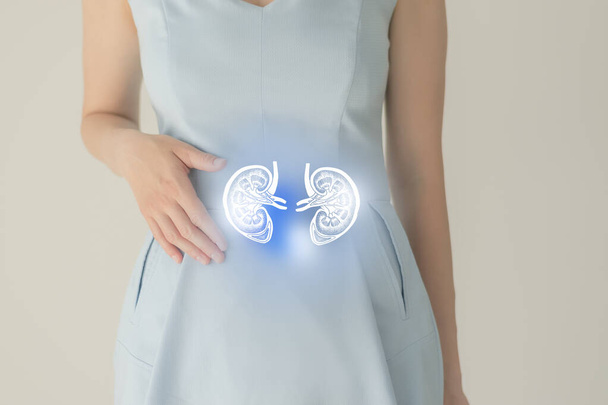 Unrecognizable female patient in blue clothes, highlighted handrawn kidney in hands. Human renal system issues concept. - 写真・画像