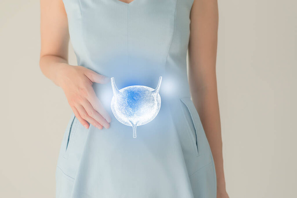 Unrecognizable female patient in blue clothes, highlighted handrawn bladder in hands. Human renal system issues concept. - 写真・画像
