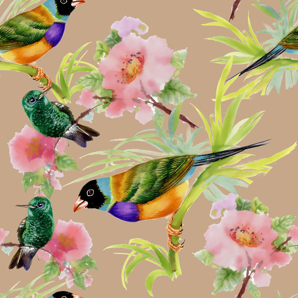 Tropical birds - Фото, изображение