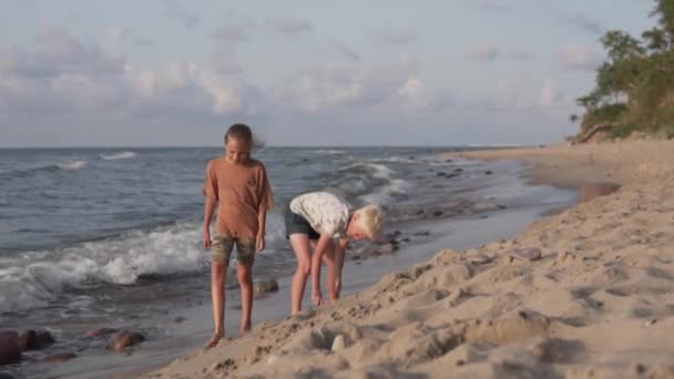 Un niño y una niña caminan por la playa junto al mar en el verano. - Metraje, vídeo