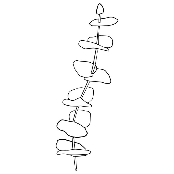 Eucalyptus silver dollar branch continuous line drawing. One line minimalism art - Vektor, obrázek