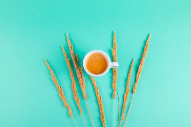 Cup of coffee on a turquoise background with dry grass. - Photo, Image