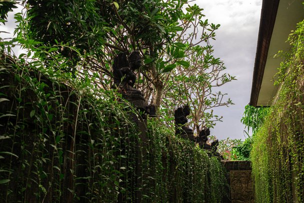 zahrada s balijskými andělskými sochami na zdi - Fotografie, Obrázek