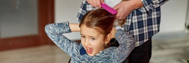 父のバナーが来て娘の髪を家でブラッシング子供は髪を引っ張ることについて顔を作る怒りの少女は痛みを感じる家族の瞬間一緒に時間を過ごす. - 写真・画像