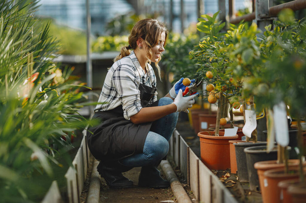 Woman in a apron working in a greenhouse - Photo, image