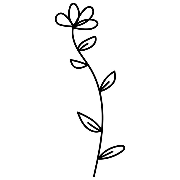 каракулі ботанічна рука намальована декоративна листова ілюстрація
 - Вектор, зображення