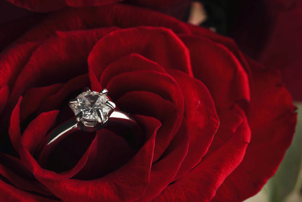 Beautiful engagement ring with gemstone on rose, closeup - Фото, изображение