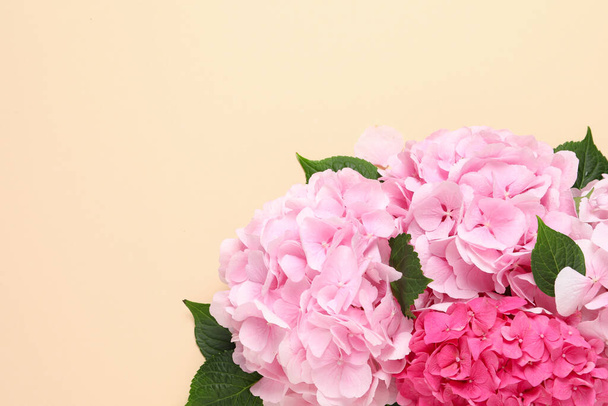 Beautiful hortensia flowers on beige background, flat lay. Space for text - 写真・画像