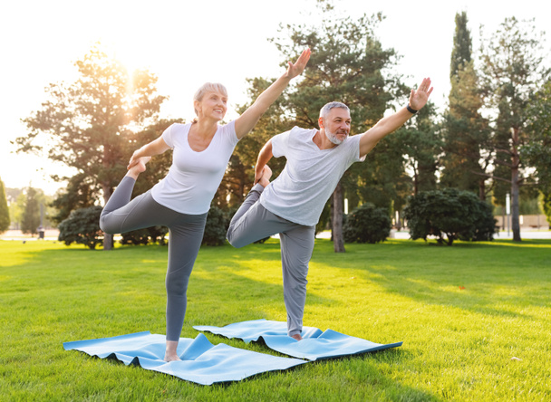Lovely active fit elderly family couple practicing partner yoga outside in nature standing on rubber mat in lord of dance pose, smiling senior man and woman working out on green lawn in park - Photo, Image