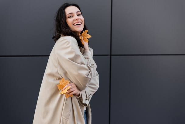 excited woman in beige raincoat holding yellow foliage near grey wall - Foto, imagen