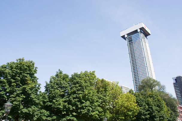 Skyline with a skyscraper of Rotterdam with trees in the foreground in the Netherlands - Photo, image