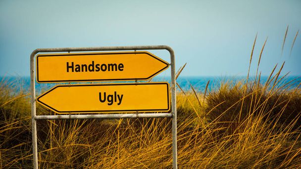 Street Sign the Direction Way to Handsome versus Ugly - Photo, Image