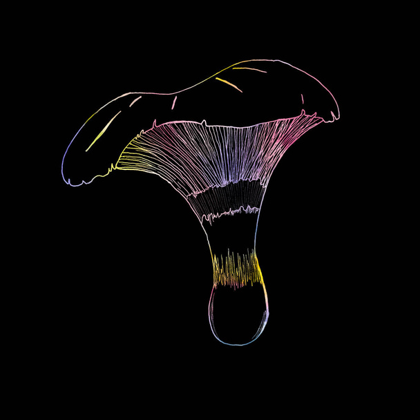 Mushrooms with neon outline on black background. Neon contour. Rainbow colored mushrooms outline. - Photo, Image