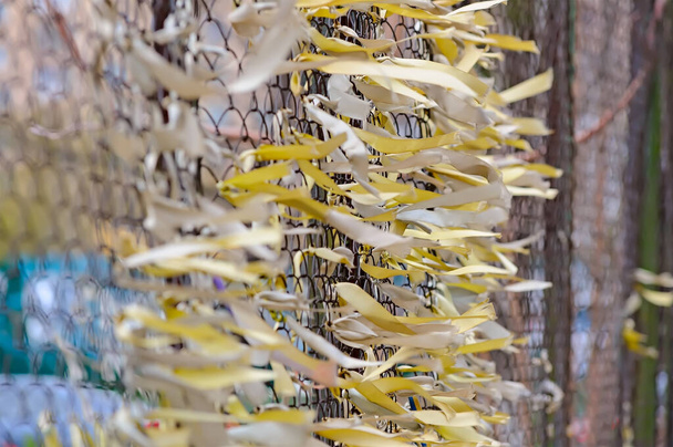 Oyun çitlerine dolanmış saten sarı kurdeleler ve rüzgarda sallanıyor. - Fotoğraf, Görsel