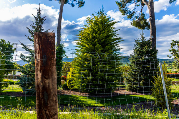 Garden behind the metal fence on a day with blue sky and clouds. - Photo, Image
