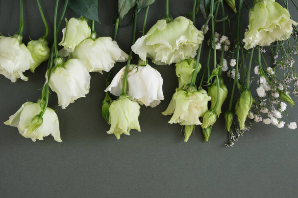 Lemon white and green roses on a dark green background, postcard, copy space, top view, mock up flat lay - 写真・画像