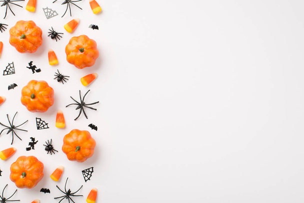 Fent fotó tök halloween dekoráció pókok web boszorkány denevérek és cukorkák elszigetelt fehér háttér üres hely - Fotó, kép