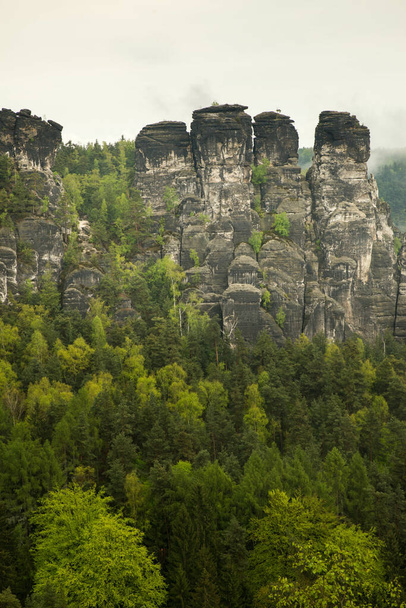 Elbsandstein near Dresen,Bastei in the elbe sandstone mountains in the saxon switzerland in Germany - Photo, image