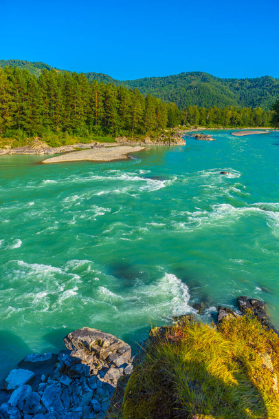 rapids on the river Katun in summer - Foto, imagen