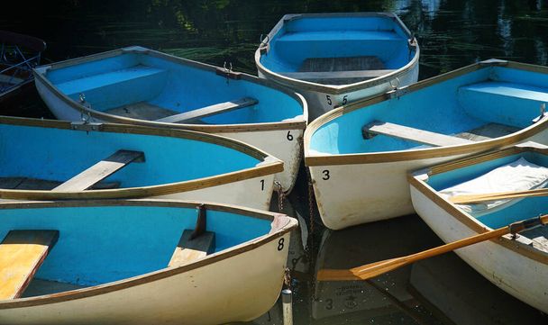 Seis botes de remos con interiores azules brillantes amarrados juntos. - Foto, imagen
