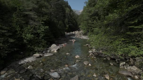 Fließender Fluss mit Felsen - Filmmaterial, Video