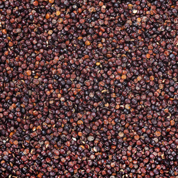 Raw black quinoa seeds - Chenopodium quinoa - Foto, Imagem