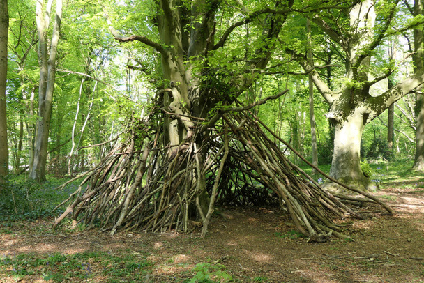 Wigwam made of tree branches and sticks in a beech tree woodland glade - Foto, afbeelding