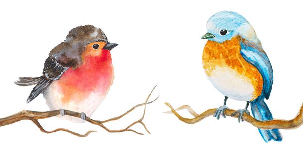 Set of watercolor baby birds isolated on white hand drawn illustration - Φωτογραφία, εικόνα