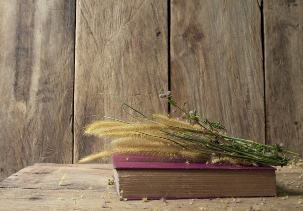 Asetelma vanha kirja ja kukka foxtail rikkakasvien kultainen valo
 - Valokuva, kuva