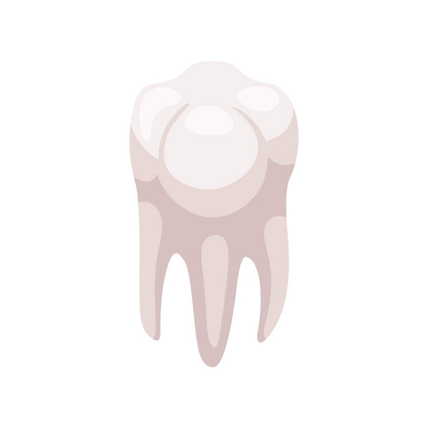 Tooth Isometric Icon - Vector, Image
