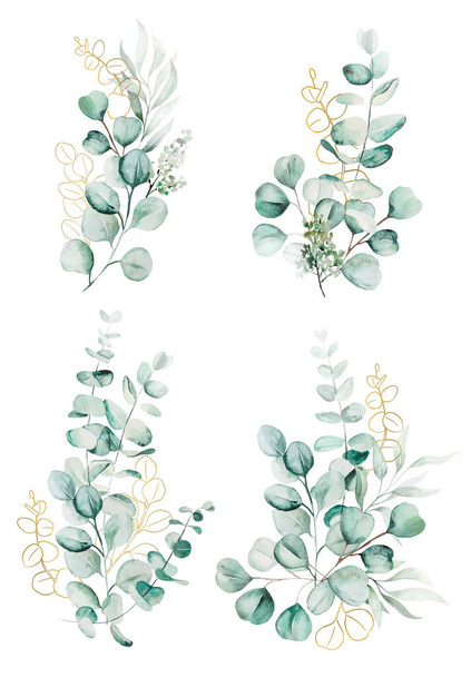 Vesiväri eukaliptus oksat ja lehdet kukkakimppuja kuva eristetty - Valokuva, kuva