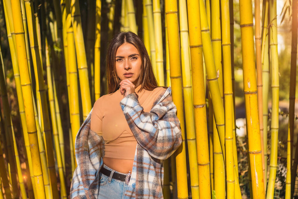 Autumn lifestyle in a bamboo forest, sweet look of a young brunette in a plaid wool sweater - Fotoğraf, Görsel