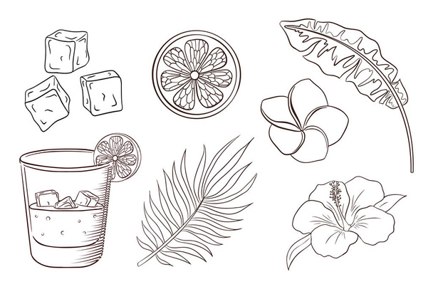 Whiskey and Soda Cocktail, Tropical Flowers and Leaves Coloring Page. Exotic Plants and blossoms set. Banana, and palm leaves, lemon slice, ice cubes, hibiscus and plumeria flowers. Premium Vector - Вектор,изображение